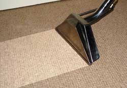 carpet cleaning